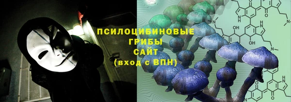 хмурый Нефтекумск