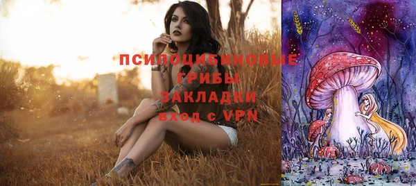 спайс Нея